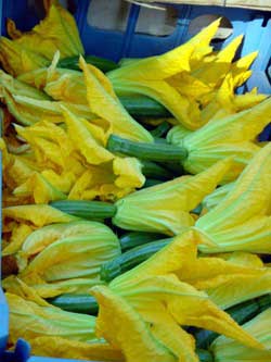 Courgette blossoms are delicious fried