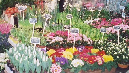 One of several flower stands