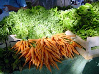 Carrots and freshly picked lettuce