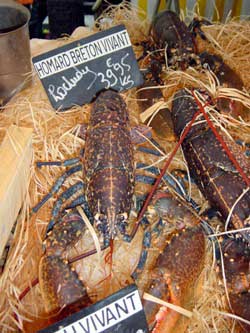 Living lobster from Brittany. The owner's son is being trained to take over the business